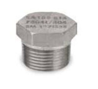 Picture of ¼ inch NPT Class 3000 Forged 304 Stainless Steel hex head plug