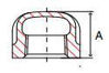 Picture of ¼ inch class 150 316 Stainless Steel threaded caps